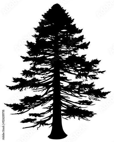 Spruce Tree Cutout Vector Silhouette Isolated Forest Graphic