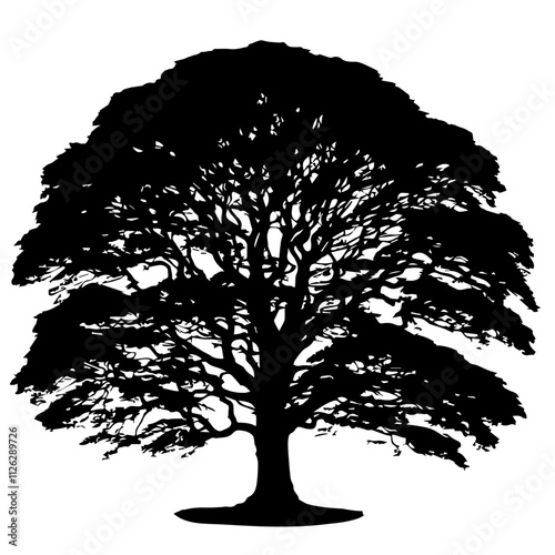 Sycamore Tree Cutout Vector Silhouette Isolated Forest Graphic