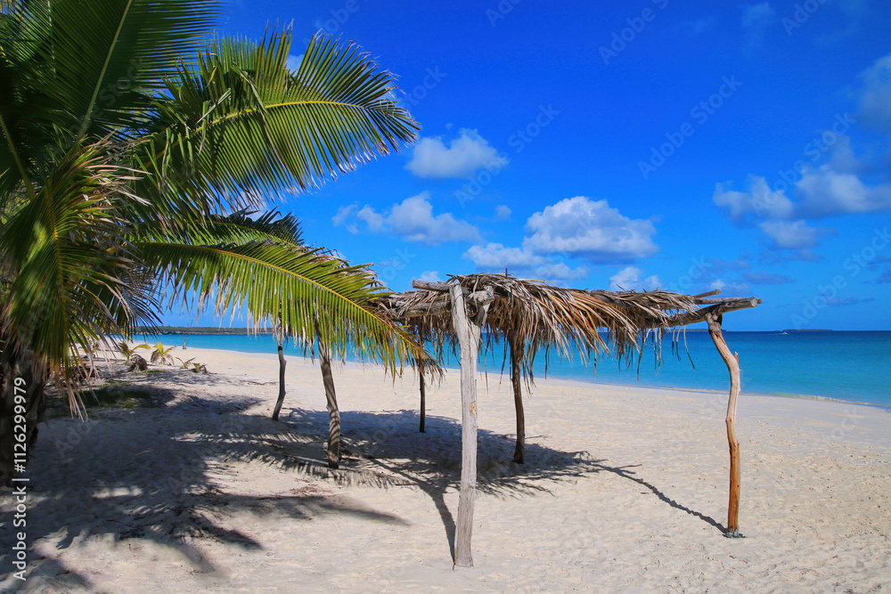 Obraz premium Fayaoue beach on the coast of Ouvea lagoon, Mouli and Ouvea Islands, Loyalty Islands, New Caledonia