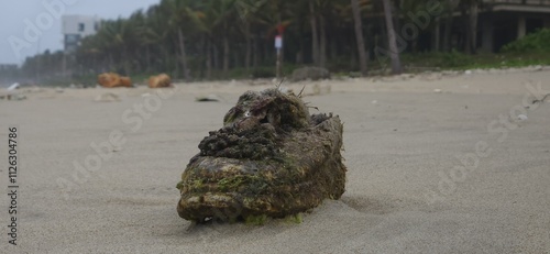 Shoe covered in dirt and sludgy  on the sandy beach.  Closeup. Thrown from the sea. Ecological issues, environmental pollution. Ecology damage