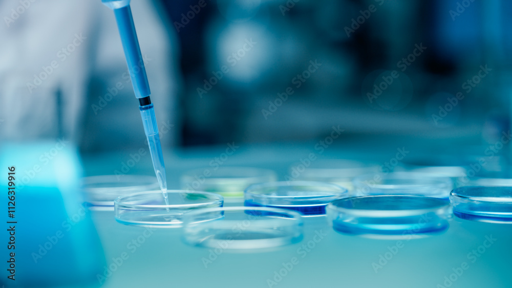 Close Up of a Scientist Pouring Clear Liquid into Glass Dishes with a Micro Pipette, Conducting Scientific Experiment in Laboratory Setting. Chemistry Concept for Medical Research and Analysis Close Up of a Scientist Pouring Clear Liquid into Glass Dishes with a Micro Pipette, Conducting Scientific Experiment in Laboratory Setting. Chemistry Concept for Medical Research and Analysis