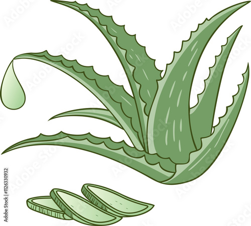 Aloe vera plant with sliced leaves and a droplet of gel on a clean white background