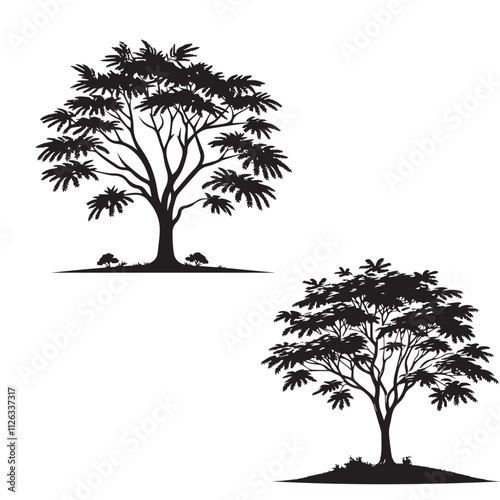 Robinia tree - silhouette of robinia tree - vector of robinia tree - natural tree - tree sketch, 







