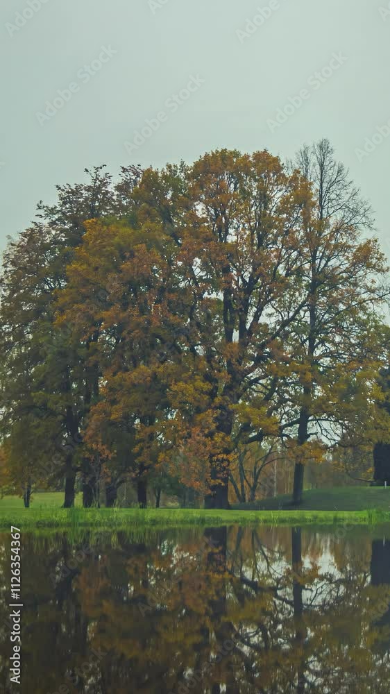 Season weather change time-lapse spring summer autumn winter nature landscape, vertical Season weather change time-lapse spring summer autumn winter nature landscape, vertical