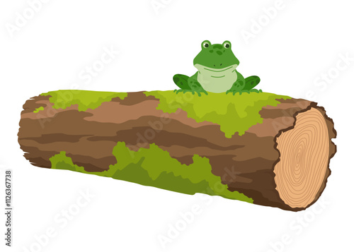 Picturesque natural pond inhabitant. Green frog on stone. Concept of outdoor scene. Vector cartoon illustration