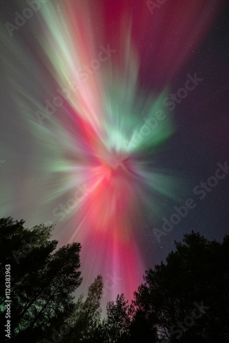 Red-hued aurora borealis over the forest