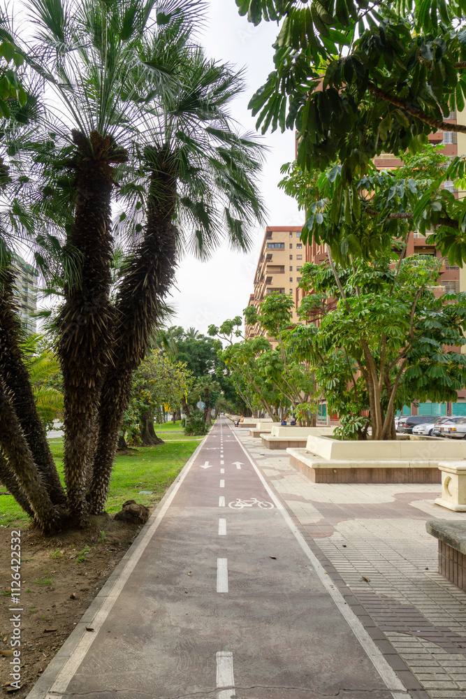 Fototapeta premium The Network of Cycle Lanes in Malaga City.