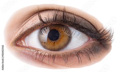 Human eyeball. isolated on a transparent background, PNG.