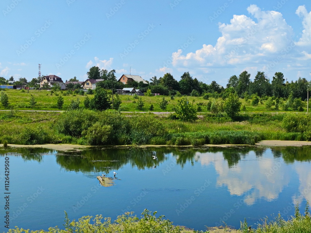 Fototapeta premium Rural summer on the outskirts of Moscow