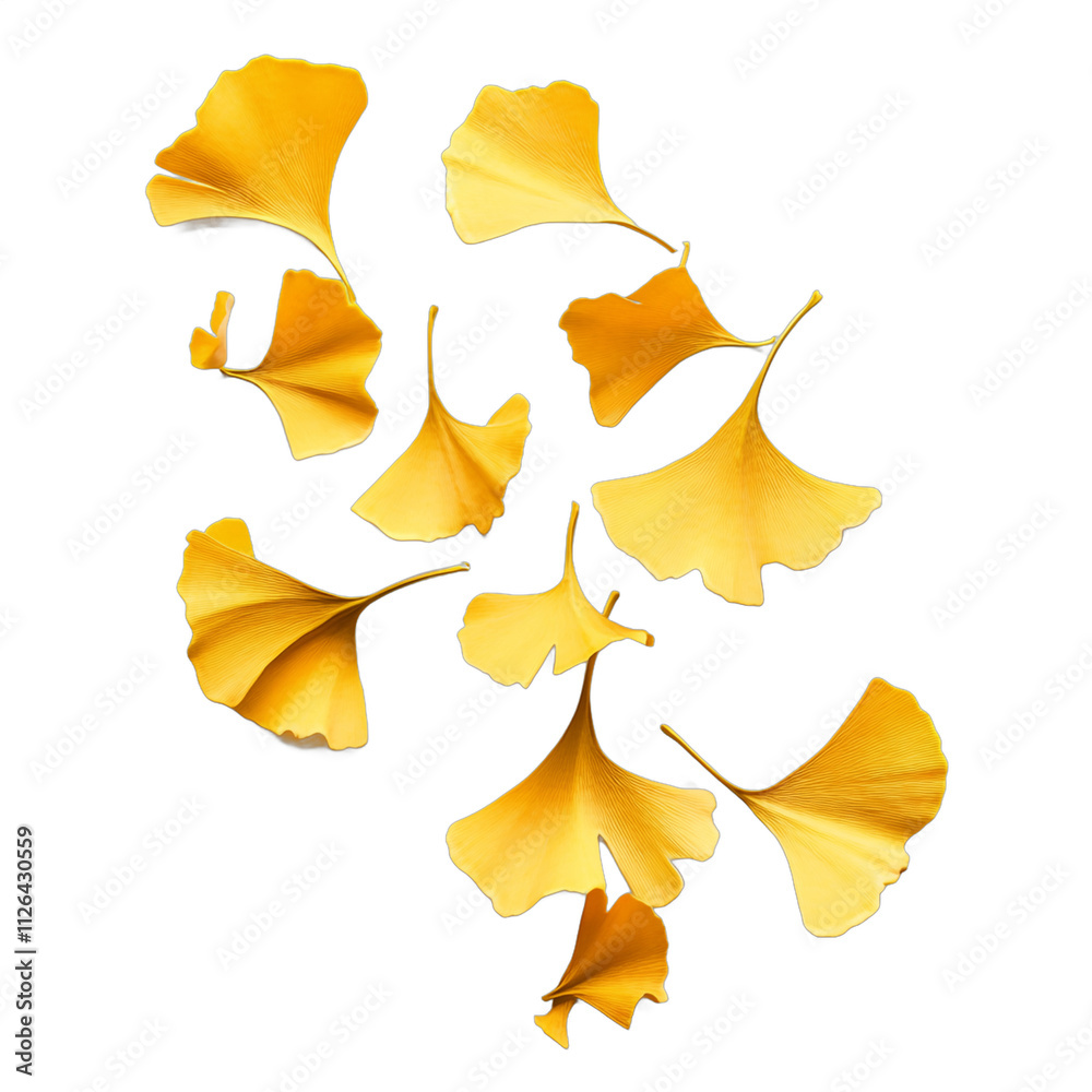 A close up of yellow leaves scattered across a white background. The leaves are arranged in a way that creates a sense of movement and flow, as if they are floating in the air A close up of yellow leaves scattered across a white background. The leaves are arranged in a way that creates a sense of movement and flow, as if they are floating in the air
