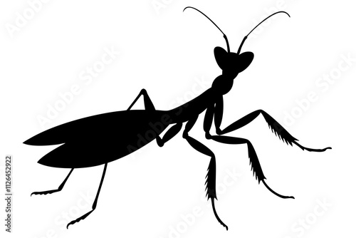 praying mantis Insect Vector silhouette design