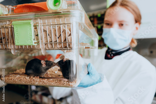 Zwei schwarze Mäuse in sozialem Kontakt in ihrem Käfig, der von einer (maskierten) Wissenschaftlerin in den Händen gehalten wird