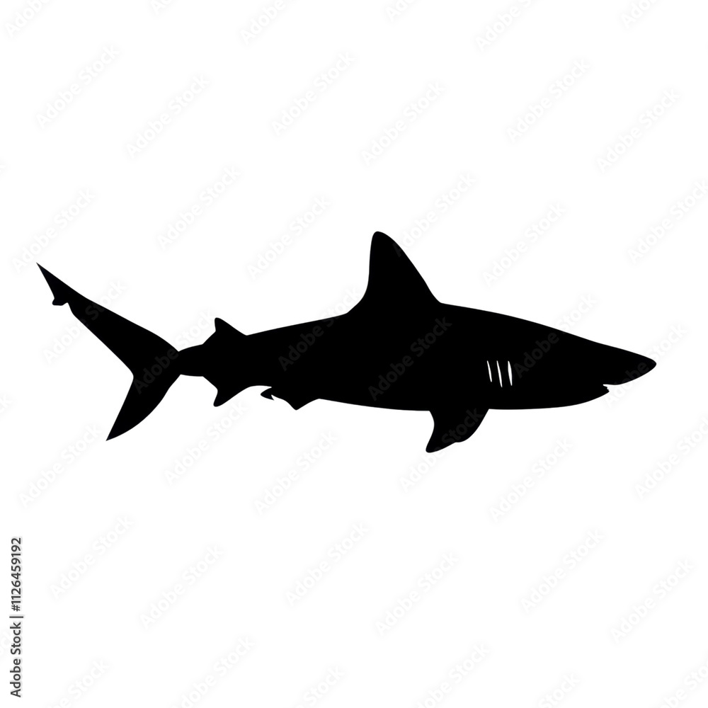 Fototapeta premium Shark Silhouette: A Majestic Ocean Predator