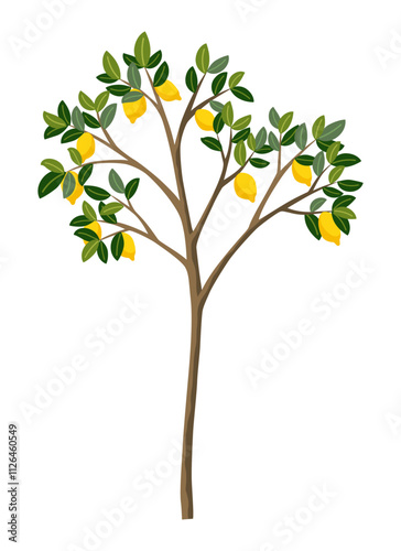 Lemon tree vector illustration. Cartoon isolated ripe yellow citrus fruits growing on tree branches with crown of green foliage, cultivated tree with lemons crop in tropical orchard, grove or garden