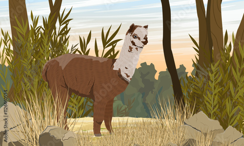 Brown alpaca standing on a sandy road in a grove. Vector realistic landscape