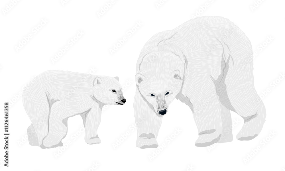 Fototapeta premium White polar bear and her cub. Wild animals of the Arctic. Realistic vector animal
