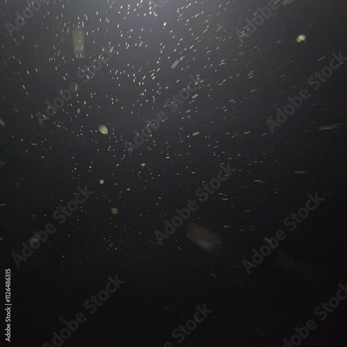 rain drops on the window