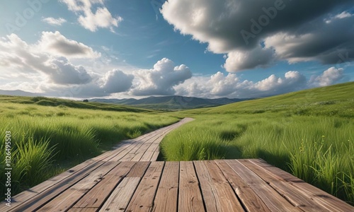 Wooden boardwalk on green meadow against cloudy sky, scenic, idyllic, rural, non-urban