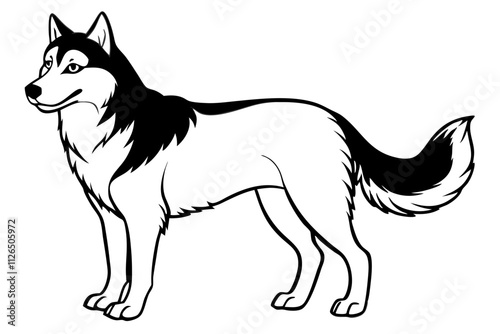 Siberian Husky Dog Line Art Vector Design photo