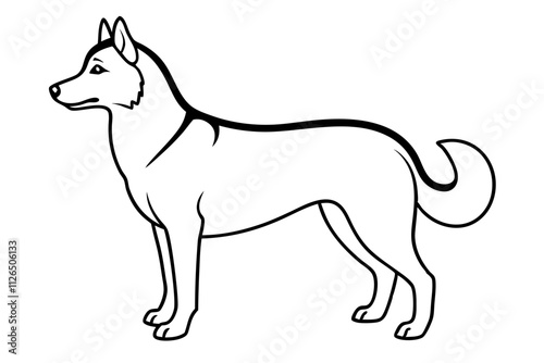 Siberian Husky Dog Line Art Vector Design photo