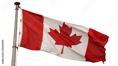 The Canadian flag with its iconic red maple leaf billowing, set against a transparent background, representing national pride photo