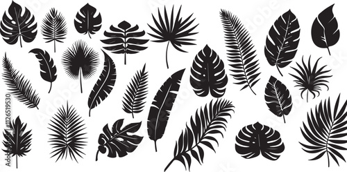 tropical leaves silhouette vector