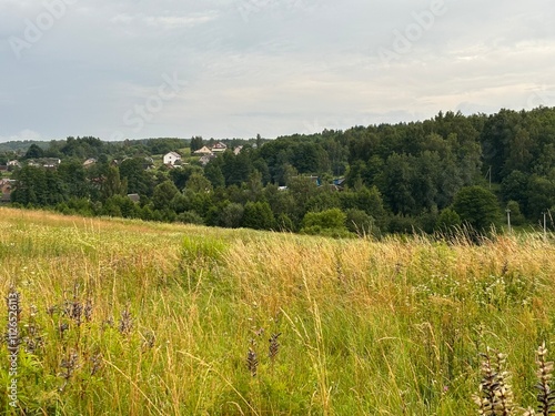 
field and forest on a hill in the village photo