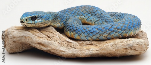 colorful blue snake resting on driftwood