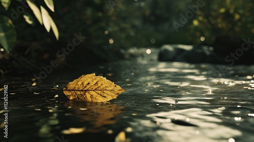 A leaf drifting on a stream, slowly flowing downstream, symbolizing surrender and acceptance of life's current.