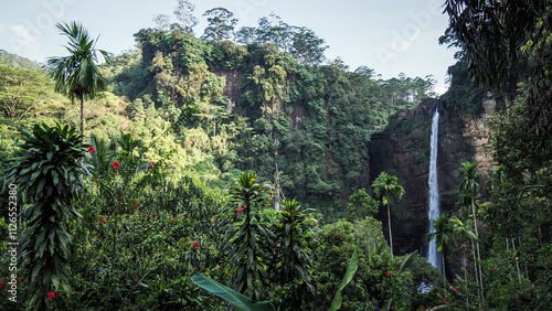 The view of Laxapana Falls in Sri Lanka photo