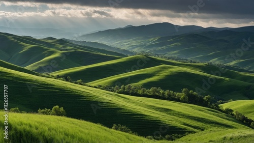 landscape with grass and mountains