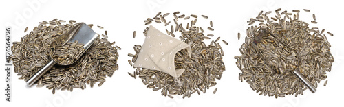 Quadro em tela Sunflower seeds isolated on white background