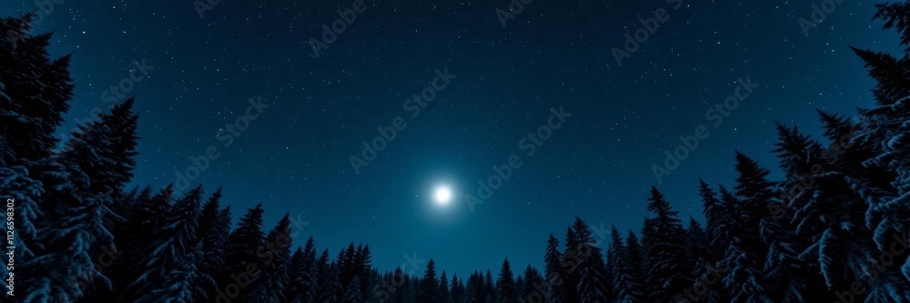 Naklejka premium This enchanting image captures the beauty of a winter night, with a full moon illuminating a snow-covered forest. The contrast between the dark silhouettes of the trees and the bright moonlight create