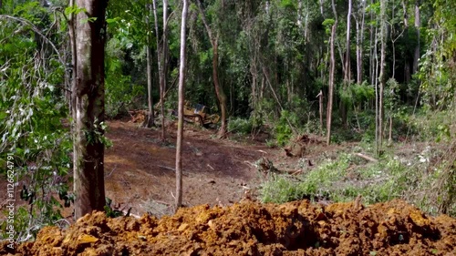 Destruction of the rainforest: a bulldozer during deforestation. Deforestation in tropical forests. Africa