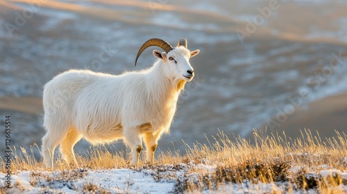 majestic white goat standing in a scenic landscape