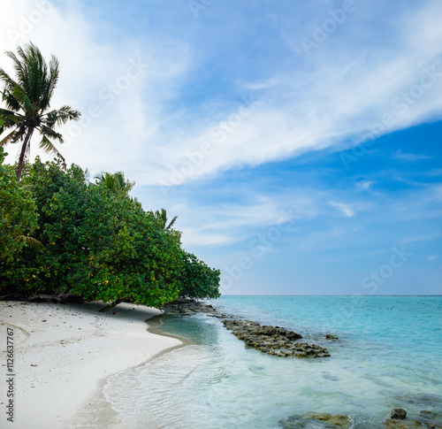 White sand sea beach, summer tropical landscape with coconut palm trees and turquoise water round waves, ripples in water. Calm empty beach scenery with wind in leaves, shoreline, blue sky with clouds
