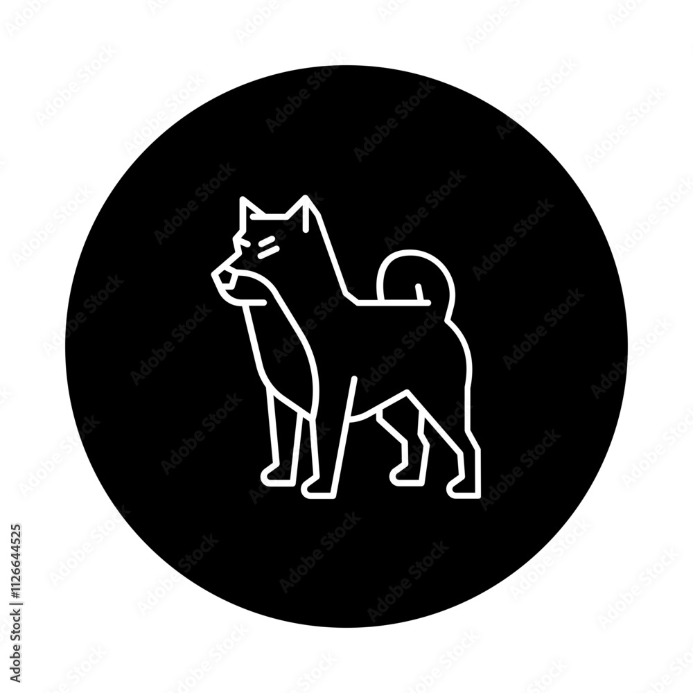 Fototapeta premium shiba dog