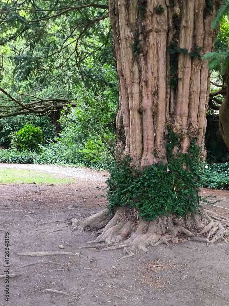 Chalice well garden