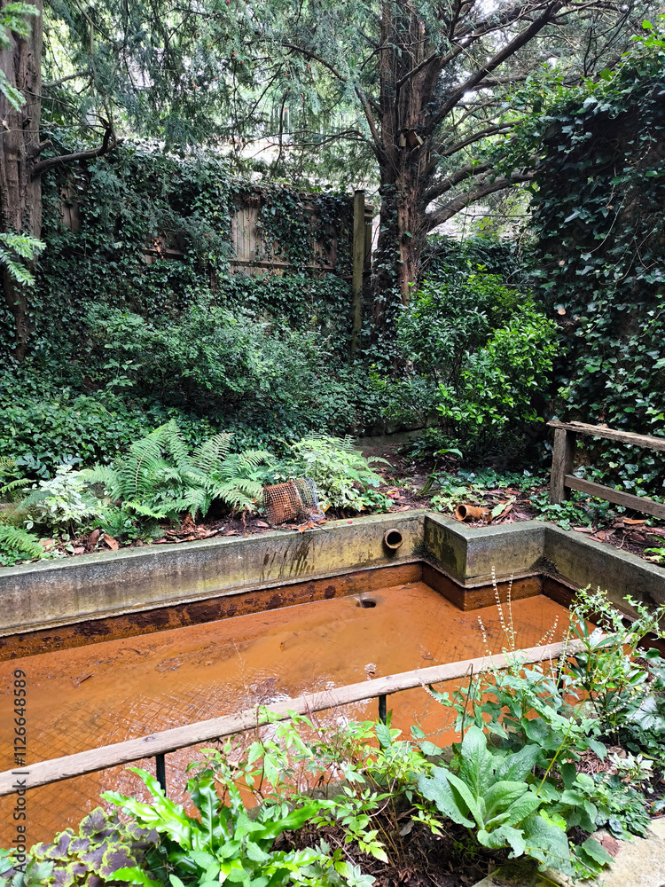 Chalice well garden