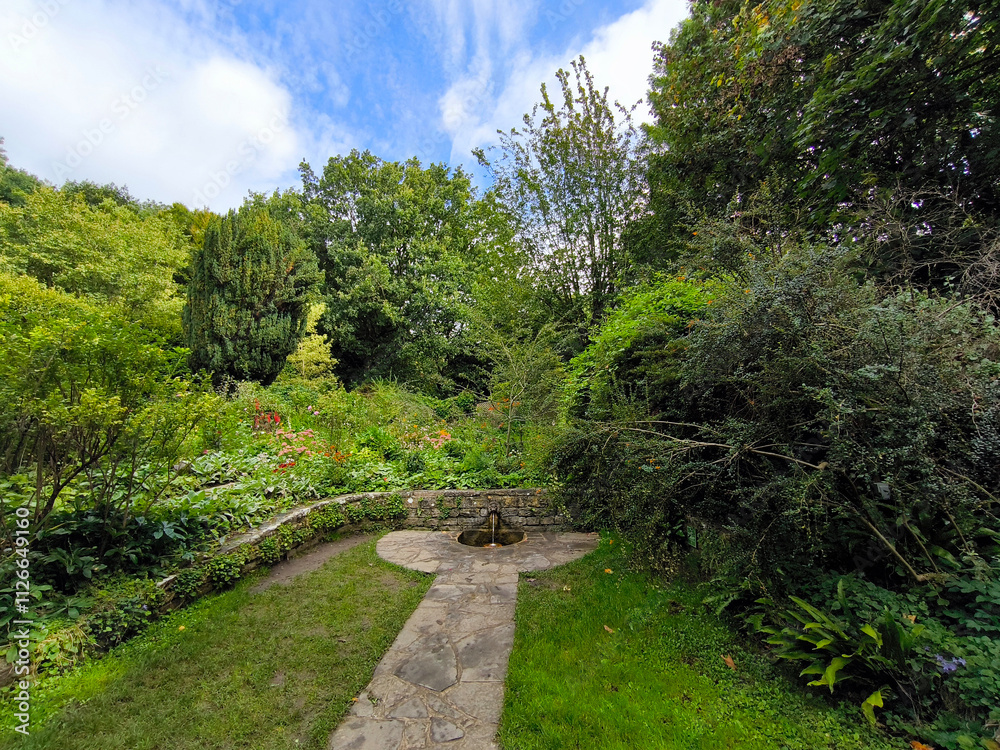 Chalice well garden
