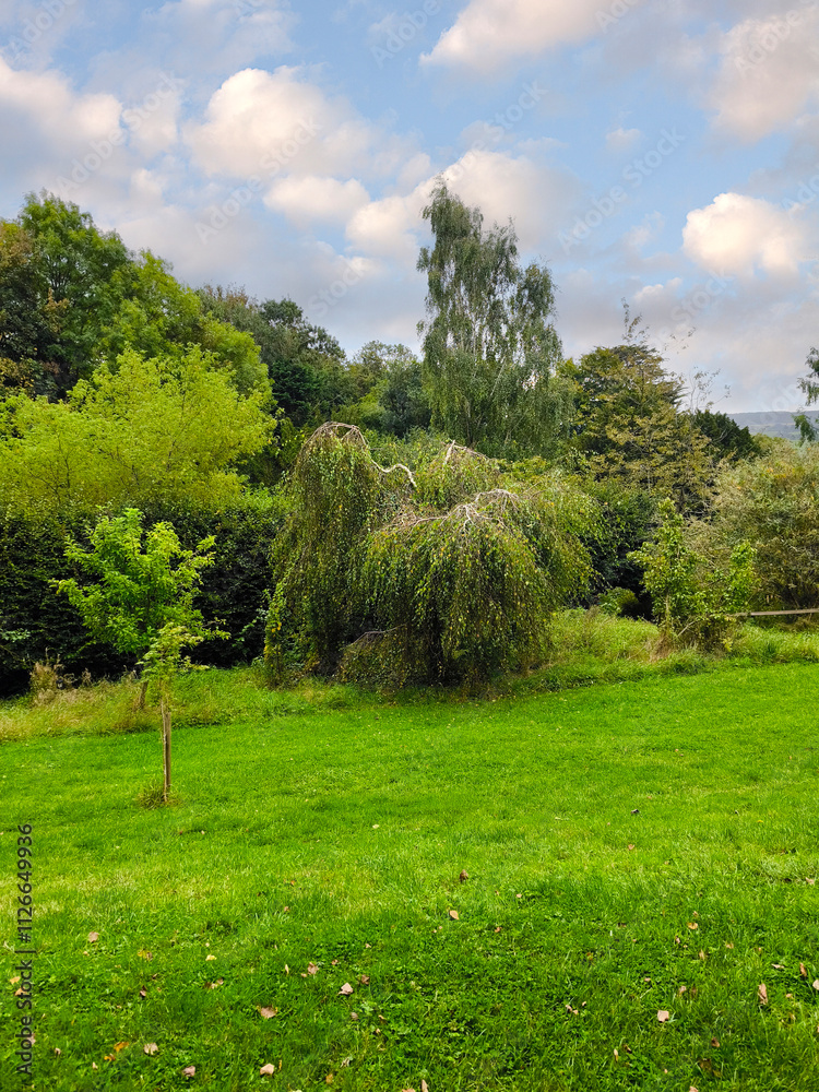 Chalice well garden