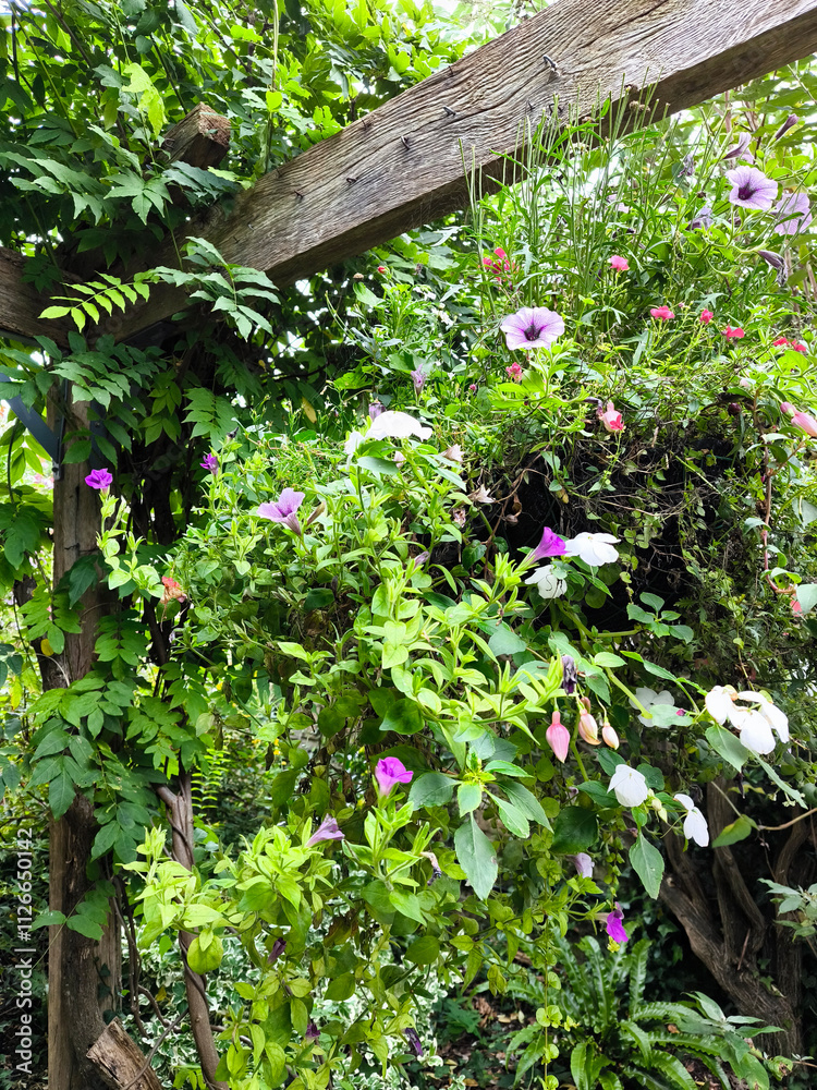 Chalice well garden