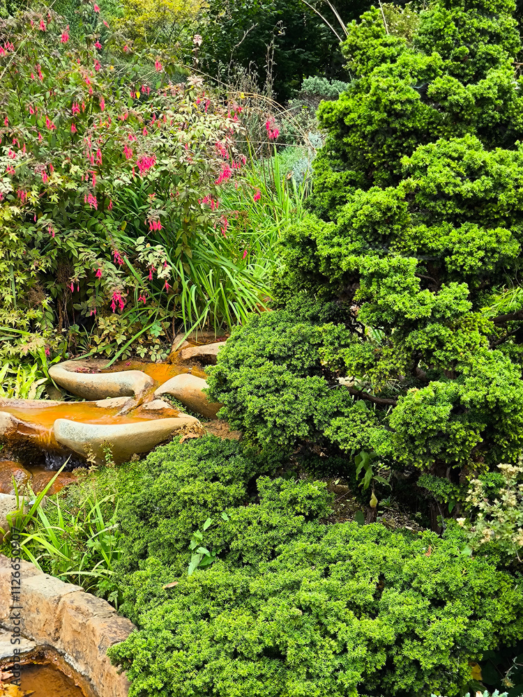 Chalice well garden