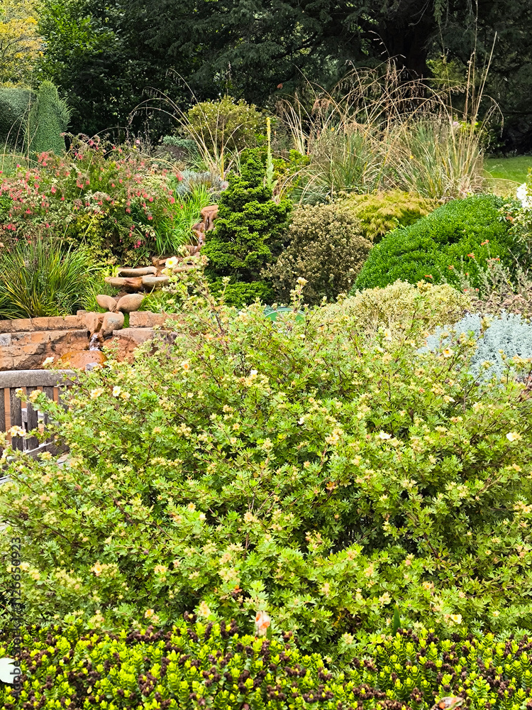 Chalice well garden
