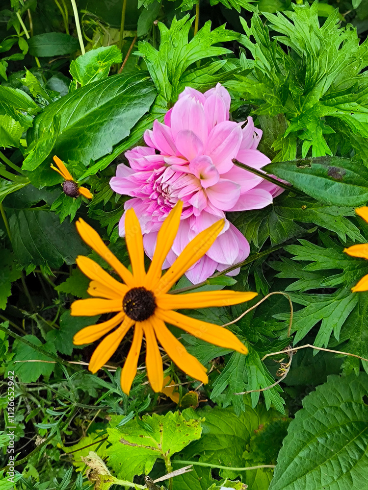 Chalice well garden
