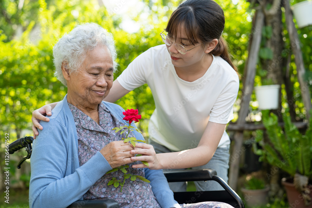 Asian elderly woman holding red rose flower, smile and happy in the sunny garden. Asian elderly woman holding red rose flower, smile and happy in the sunny garden.