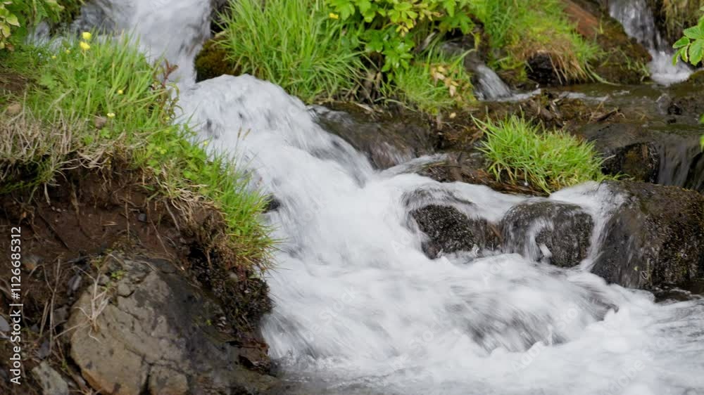 Close up shot of stream water flowing down through the grass Close up shot of stream water flowing down through the grass