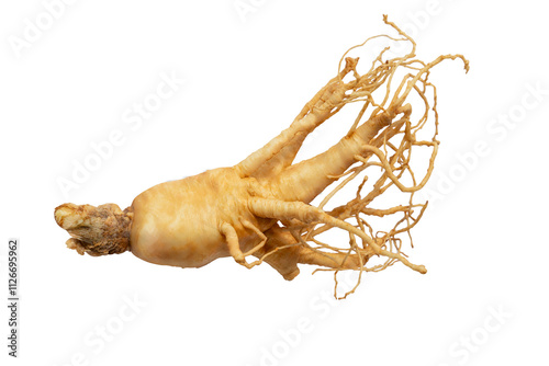 korean ginseng and ginseng root,Ginseng or Panax ginseng isolated on white background with clipping path