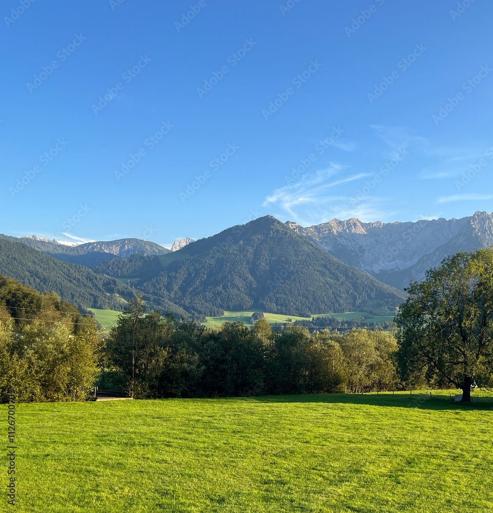 Grüne Wiese vor Berg Panorama bei blauem Himmel Grüne Wiese vor Berg Panorama bei blauem Himmel