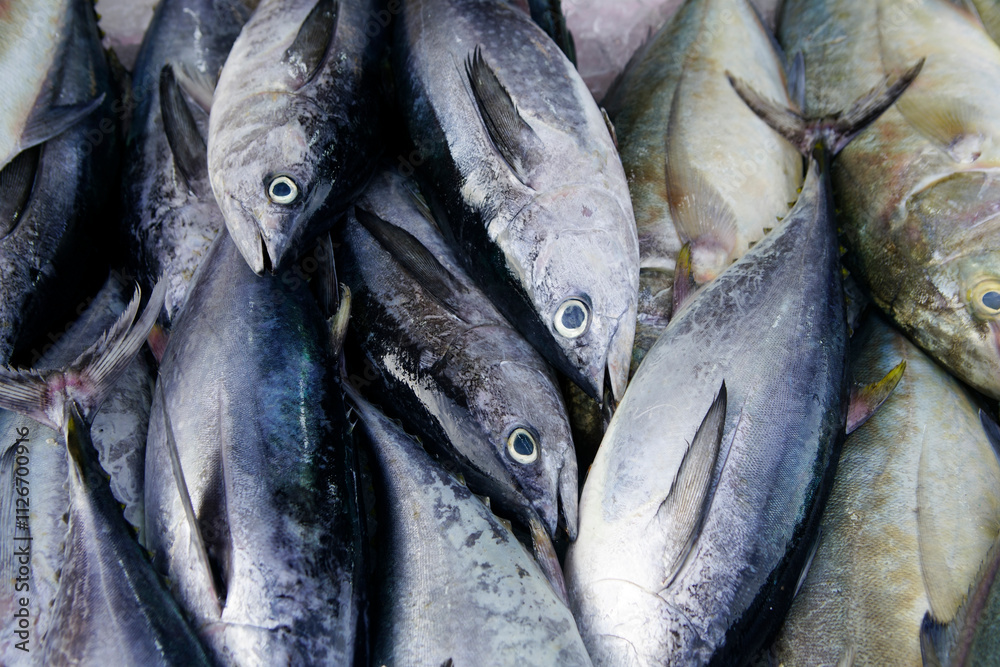 Obraz premium Fresh Assortment of Tuna and Other Fish on Ice at Market